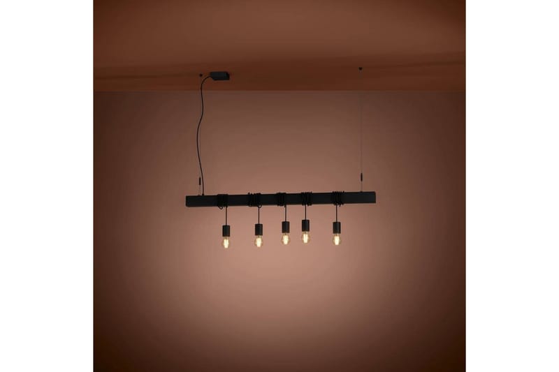 Takpendel Eglo Townshend-B Svart 5 Lampor - 5 Lampor - Products - Belysning - Lampor & belysning inomhus - Taklampa & takbelysning - Pendellampa & hänglampa