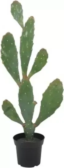 Konstväxt - Verde Kaktus 92 cm, grön