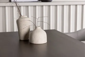 Kaseidon Matgrupp 120 cm Rektangulär med 4 Evelina stolar - Svart - Products - Möbler - Bord & matgrupp - Matgrupp