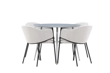 Plaza Matgrupp 100 cm Rund med 4 Evelina stolar - Grå/Grå - Products - Möbler - Bord & matgrupp - Matgrupp