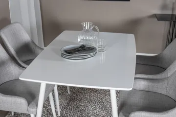 Polar Matgrupp 120 cm Rektangulär med 4 Plaza stolar - Grå - Products - Möbler - Bord & matgrupp - Matgrupp