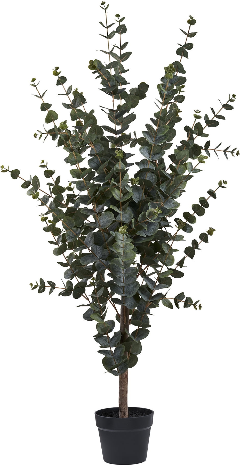 Kunstpflanze Eukalyptusbaum - H: 120 cm - Gr�n