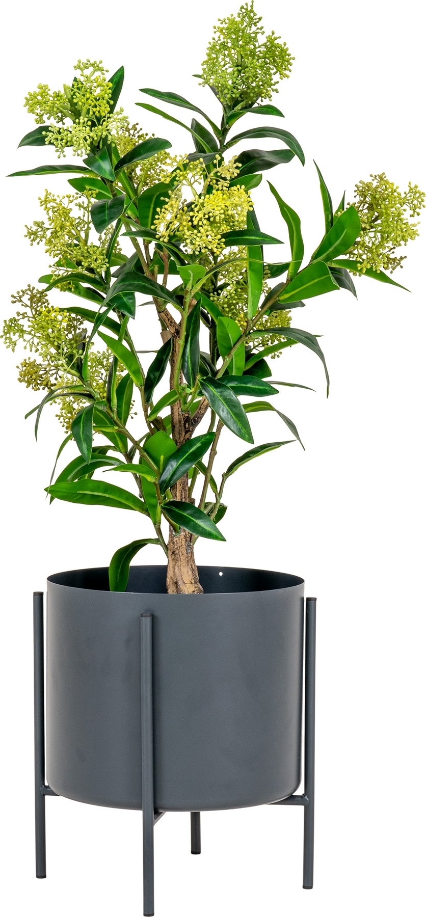 Kunstpflanze Skimmia-Baum - Gr�n
