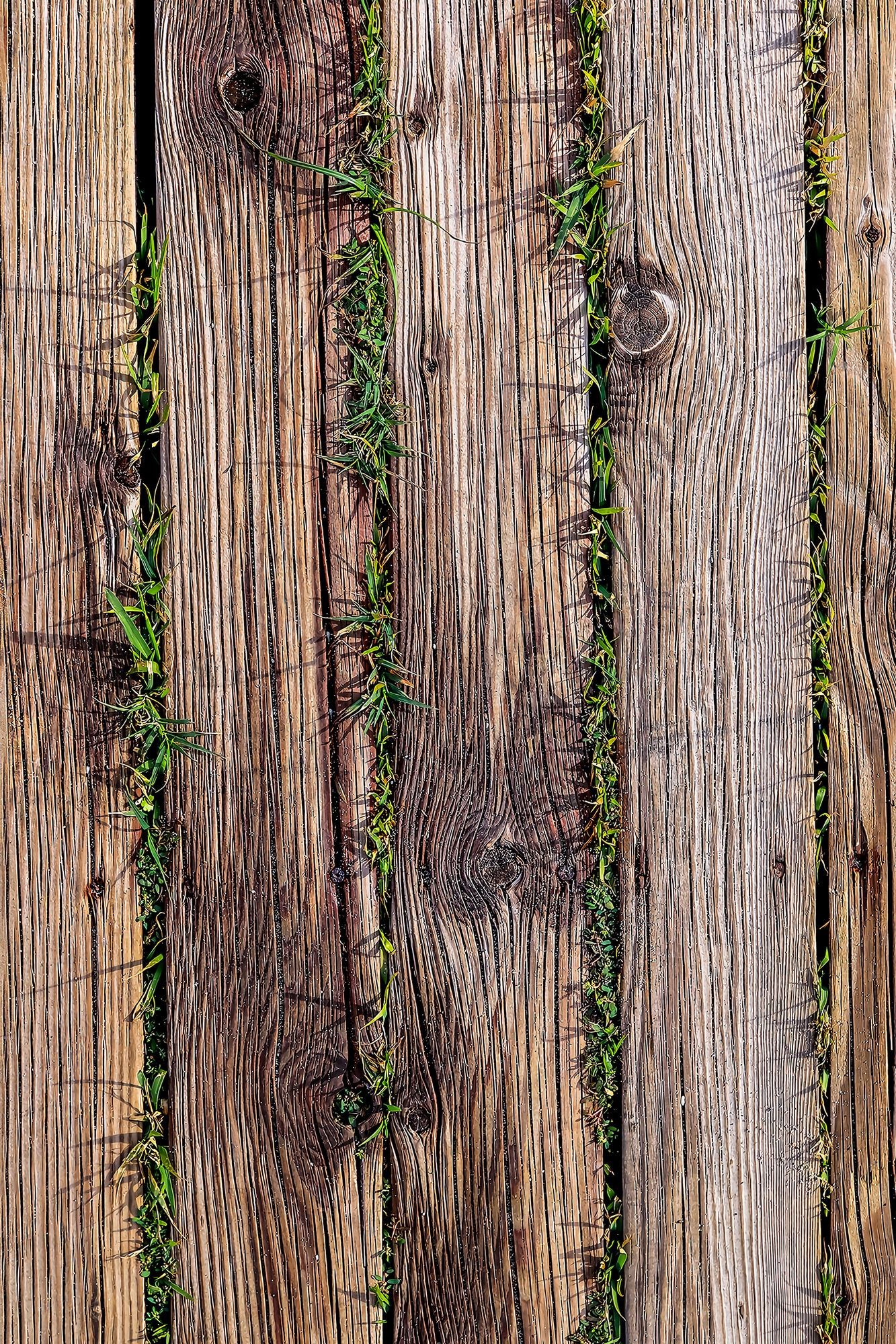 Cozin 221 Teppich Mehrfarbig - 60 x 100 cm