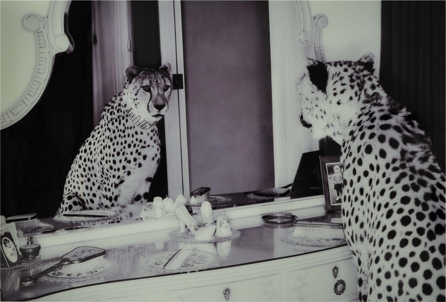 Glasmalerei - Cheeta - 100x150 cm