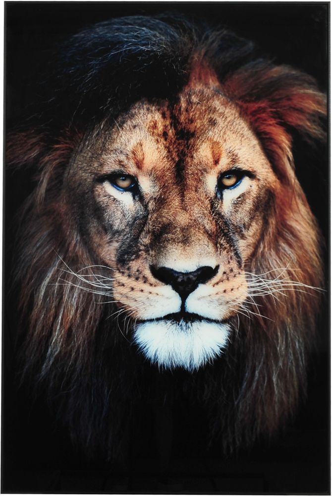 Glasmalerei - L�we dunkel - 80x120 cm