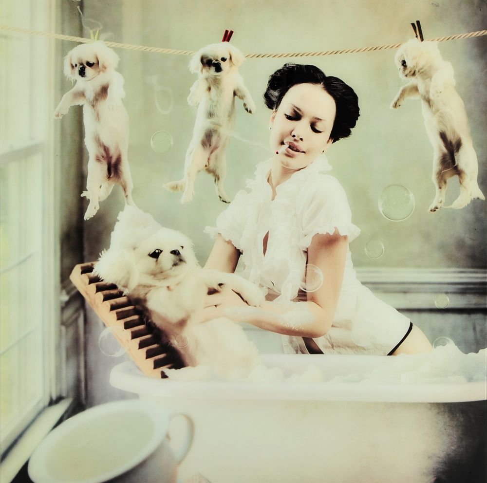 Glasmalerei - Welpen - 110x110 cm