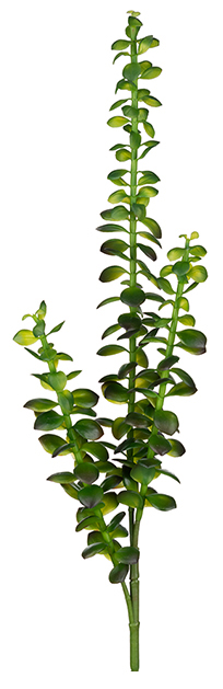 Sukkulente k�nstliche Pflanze