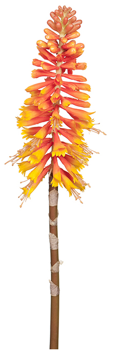 Kunstpflanze Kniphofia