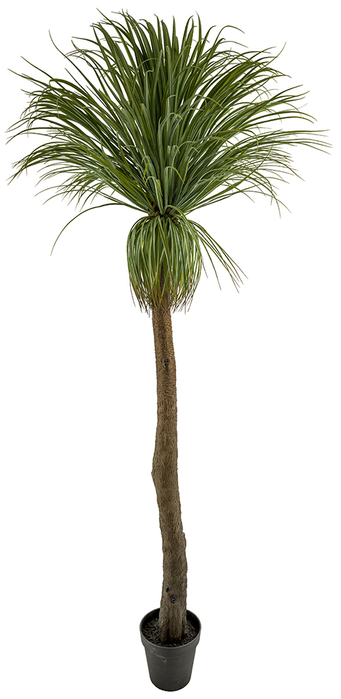 Flaschenlilie Kunstpflanze