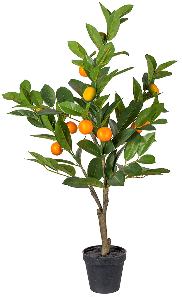 K�nstliche Zitruspflanze
