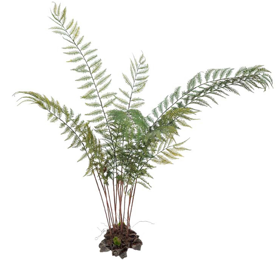 Farn k�nstliche Pflanze