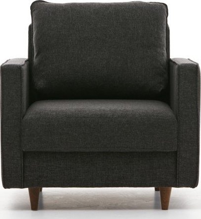 Eca Sessel - Anthrazit + M�belreinigung