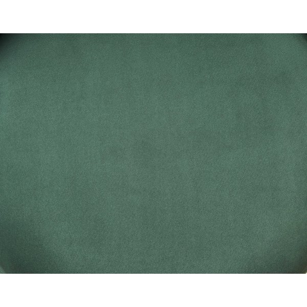 Cadeira Esszimmerstuhl 460 - Dunkelgrün Cadeira Esszimmerstuhl 460 - Dunkelgrün