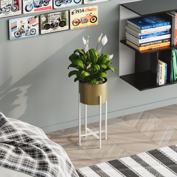 Plato 26 Topf - Wei/Gold