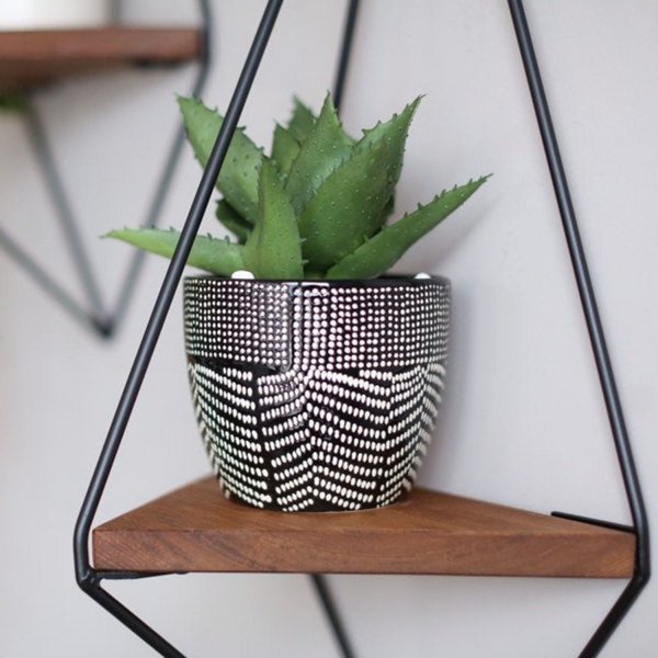 Walter Wandregal 39 - Nussbaum/schwarz