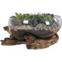 San Marino Wassertropfenvase - Teak/Glas - 26