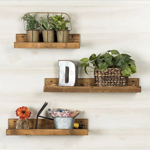 Rafa Wandregal 118 - Nussbaum