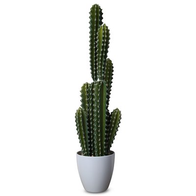 Knstliche Pflanze - Kaktus H68 cm
