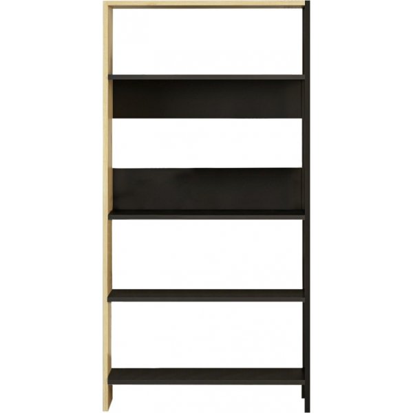 Bcherregal Tiran - Anthrazit/Eiche/Schwarz