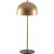 Can Tischlampe - Gold/Schwarz