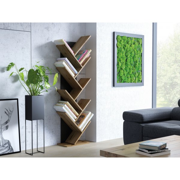 Noel Bcherregal - Wotan Eiche/schwarz