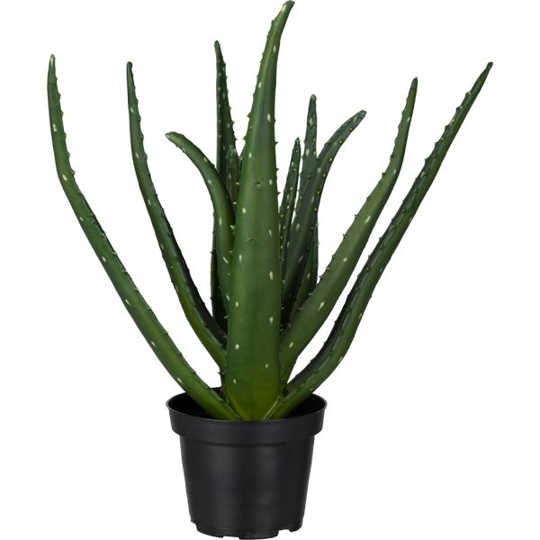 Aloe künstliche Pflanze