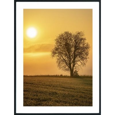Posterworld - Motiv Einsamer Baum - 50x70 cm