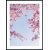 Posterworld - Motiv Blume im Himmel - 50x70 cm