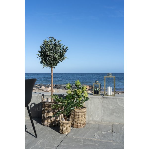 Kunstpflanze Feigenbaum - Grn