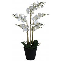 Kunstpflanze - Orchidee 8 Stängel H80 cm - Weiß