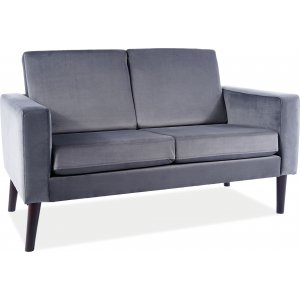 Darla 2-Sitzer-Sofa - Grauer Samt