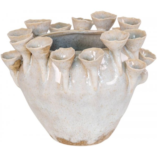 Aliano-Vase - Wei