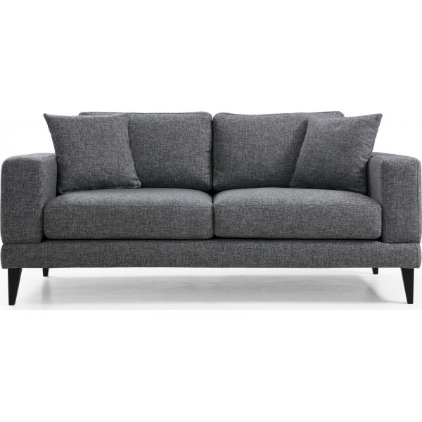 Nordisches 2-Sitzer-Sofa - Dunkelgrau