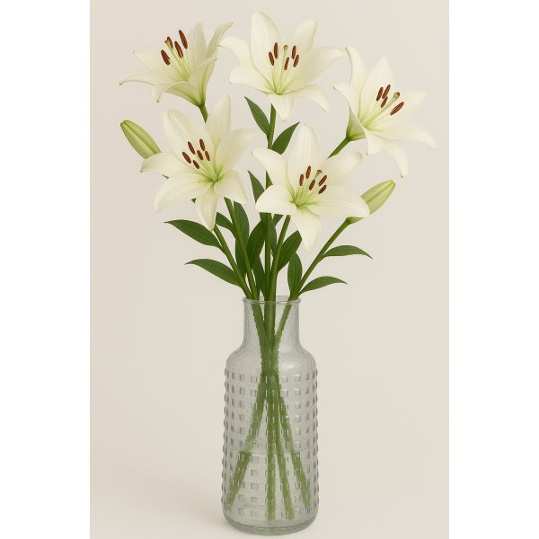 Vase Circle H30 cm - Clear