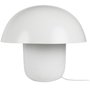 Carl-Johan Lampe AN010010 - Wei