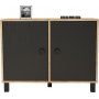 Vilamo Schrank 35 - Kiefer/schwarz