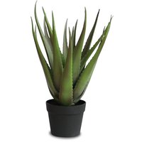 Künstliche Pflanze - Alovera Pflanze 50 cm Künstliche Pflanze - Alovera Pflanze 50 cm