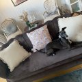 Kundenbild Samtsofa Kingsley 3-Sitzer-Sofa - 180 cm
