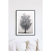 Posterworld - Motiv Frostiger Baum - 50x70 cm Posterworld - Motiv Frostiger Baum - 50x70 cm