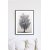 Posterworld - Motiv Frostiger Baum - 50x70 cm