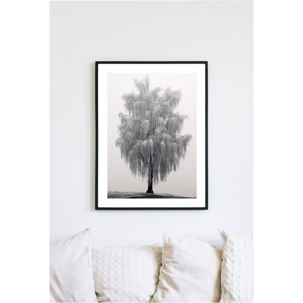 Posterworld - Motiv Frostiger Baum - 70x100 cm