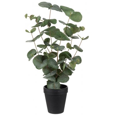 Knstliche Eukalyptuspflanze